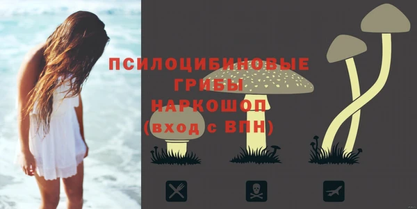 герыч Алексин