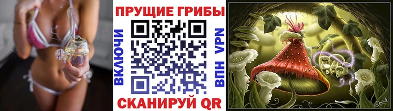 Псилоцибиновые грибы мицелий  Лермонтов 